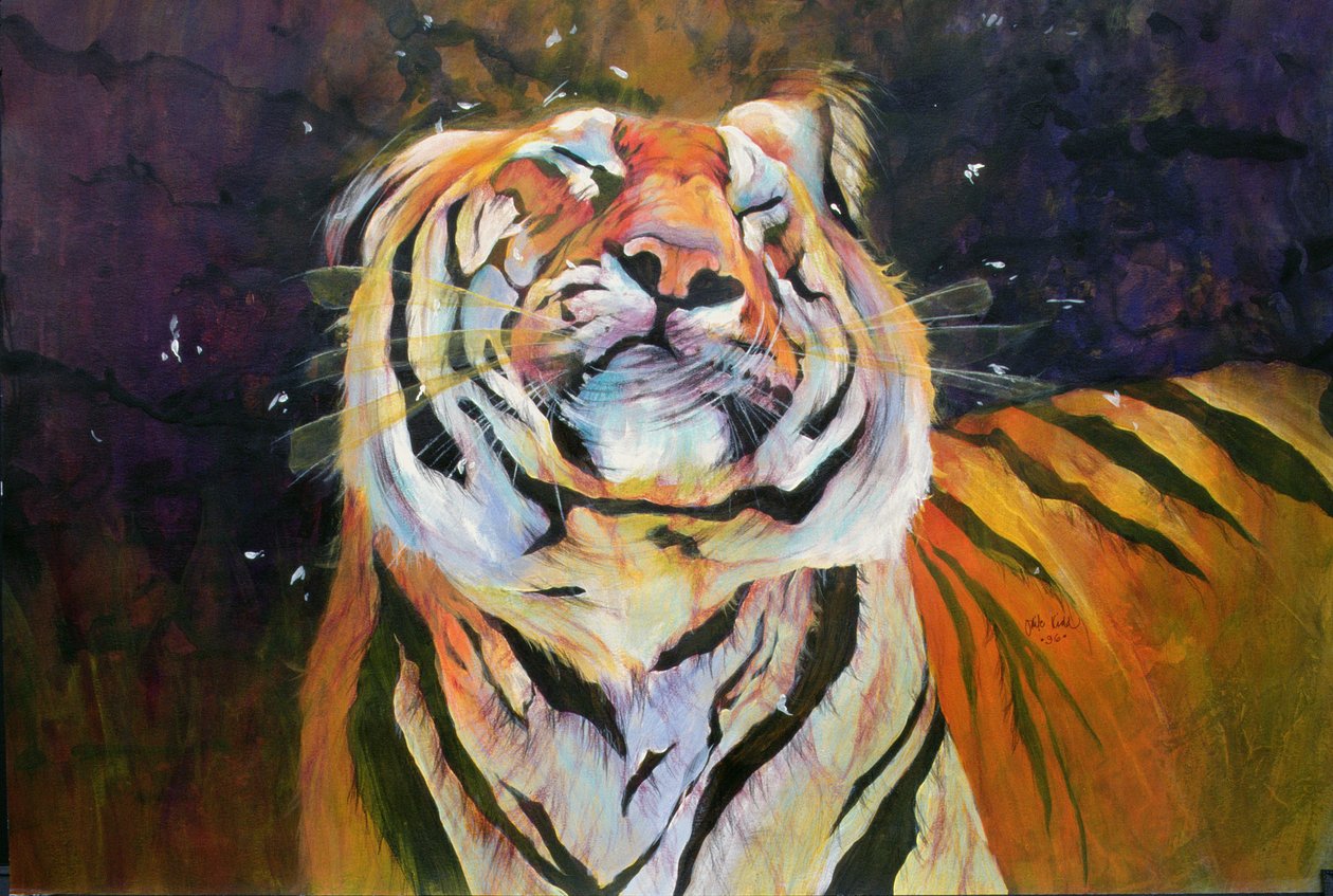 Tiger (Kopf schüttelnd) 1996 von Odile Kidd