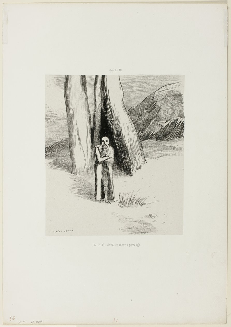 Ein Verrückter in einer düsteren Landschaft, Platte 3 von 6 von Odilon Redon