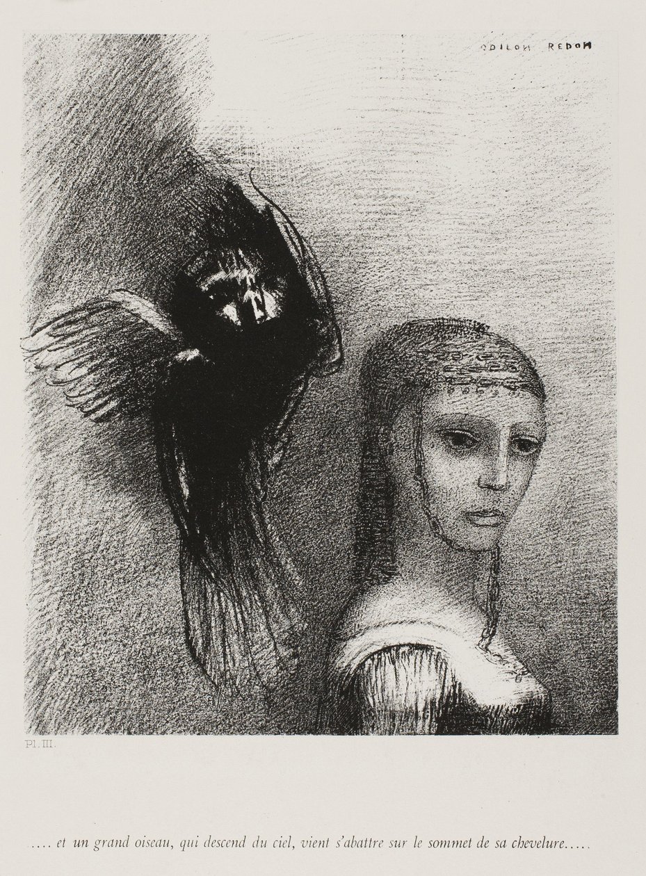 Und ein großer Vogel, der vom Himmel herabsteigt, stürzt sich gegen die höchste Spitze ihres Haares, Platte 3 von 10, 1888 von Odilon Redon