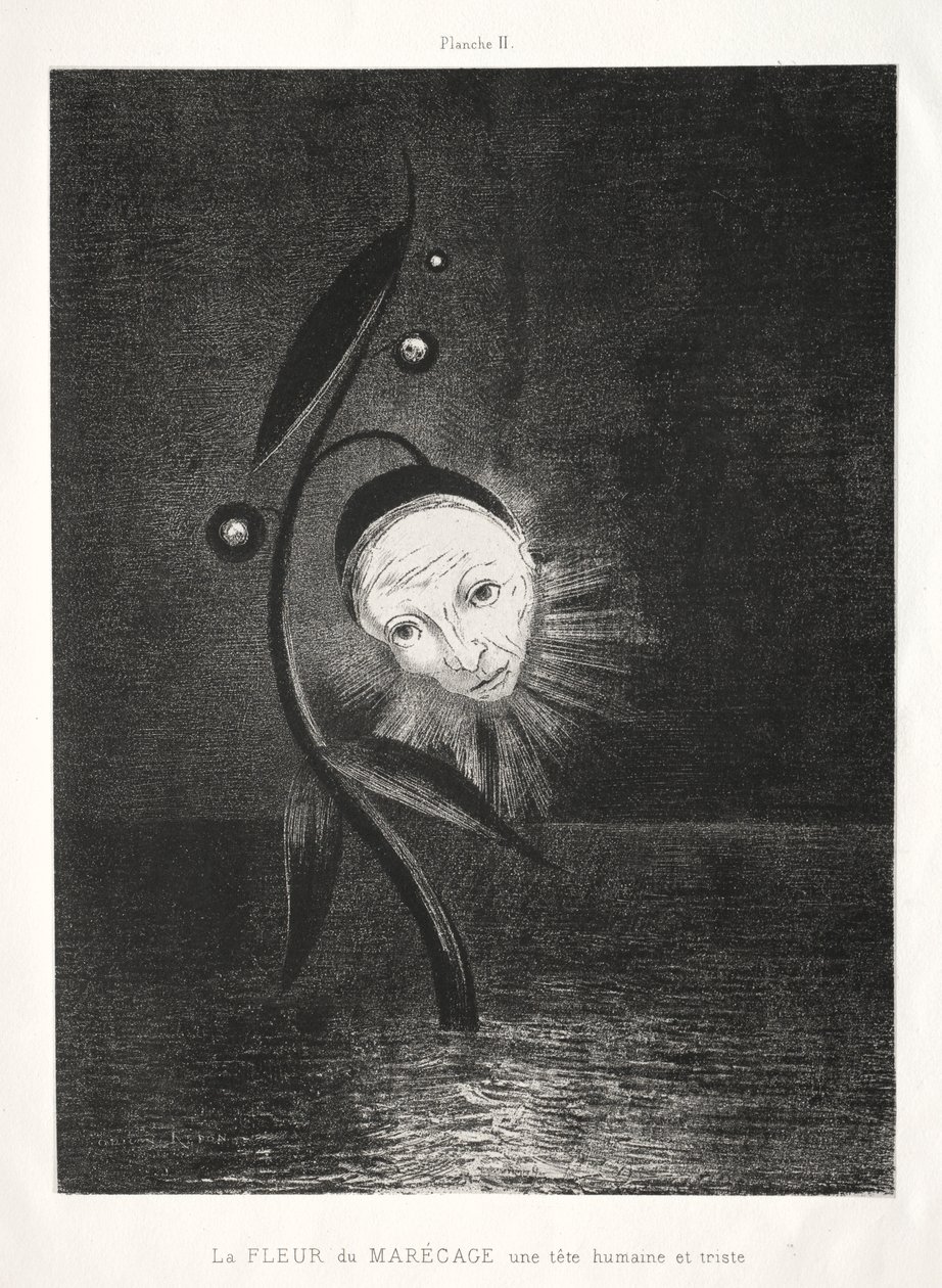 Hommage an Goya: Die Sumpfblume, ein trauriger Menschenkopf, 1885 von Odilon Redon