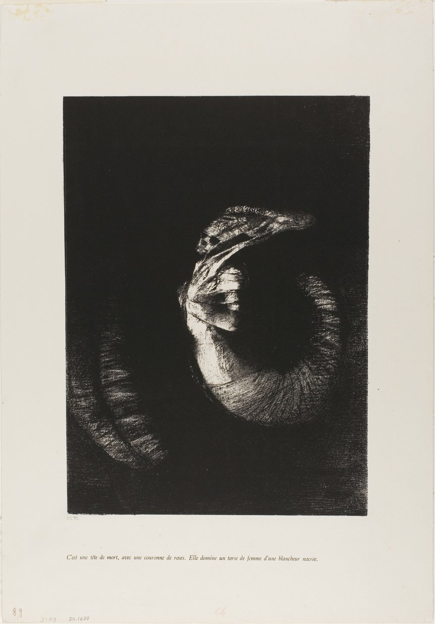 Es ist ein Schädel, umwunden mit Rosen... von Odilon Redon