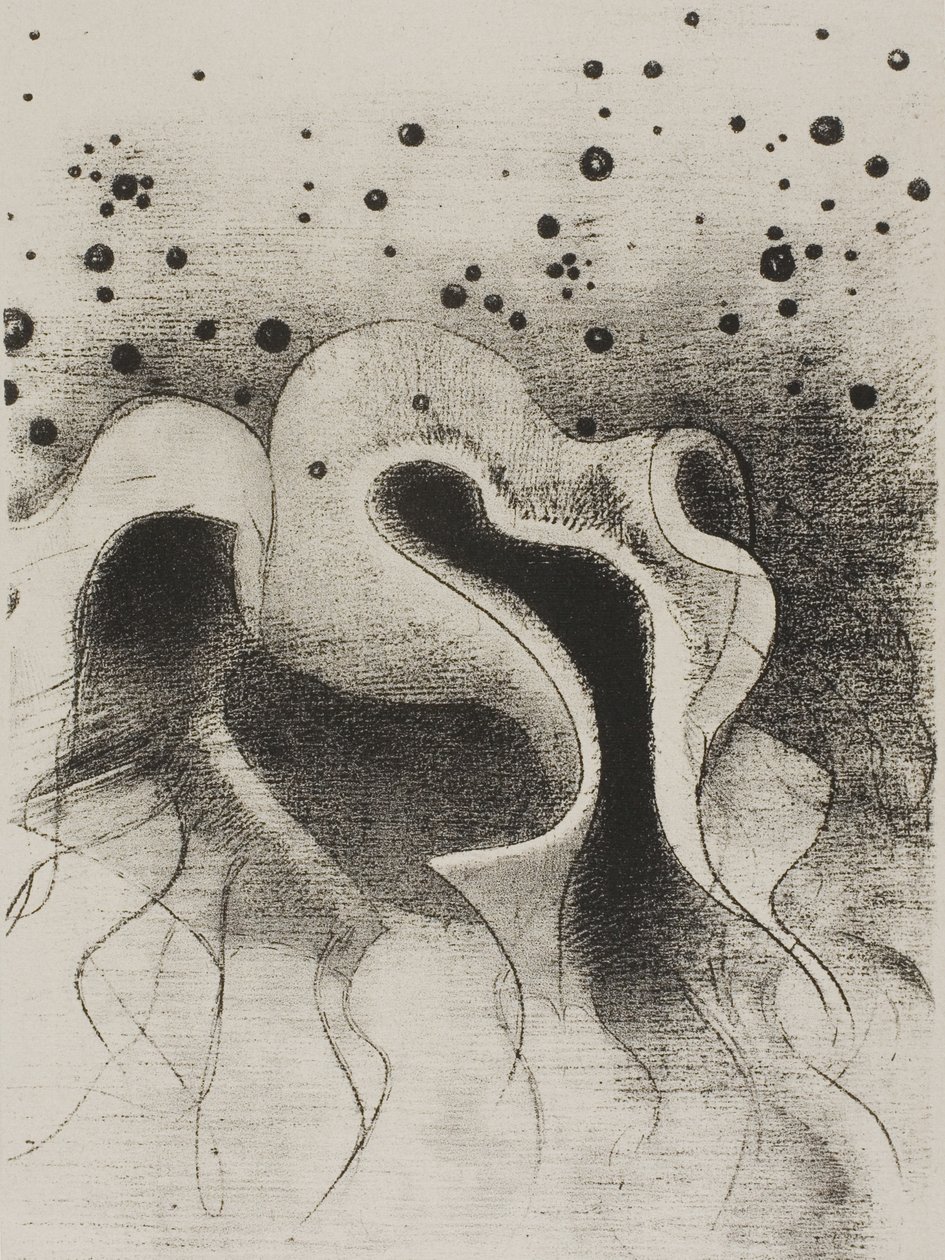 Die Tiere des Meeres, rund wie Lederflaschen, Tafel 22 von 24 von Odilon Redon