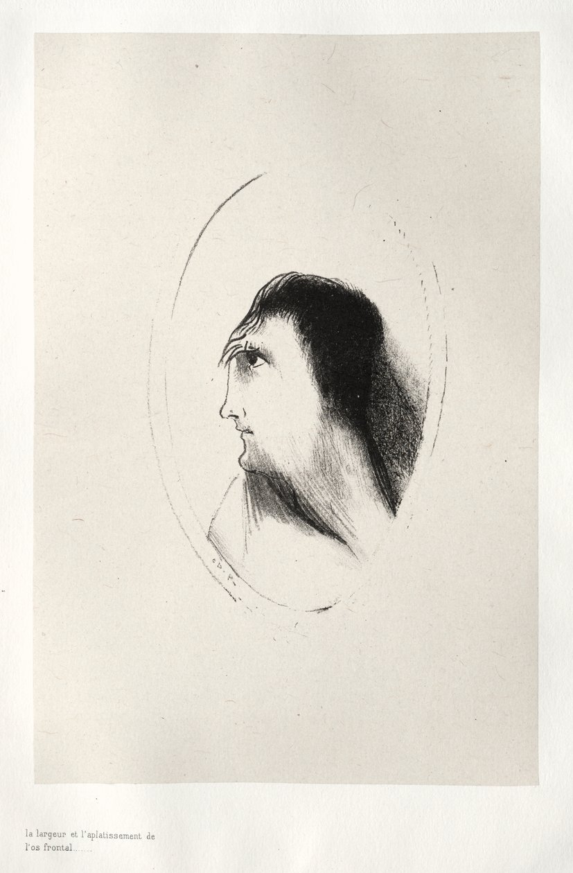 Die Breite und Flachheit des Stirnknochens von Odilon Redon