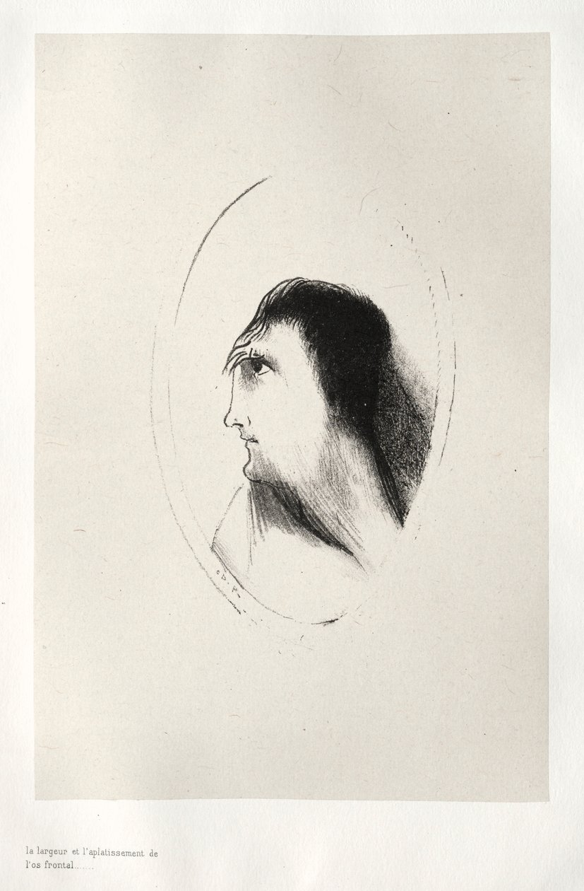 Das Spukhaus: Die Breite und Flachheit des Stirnbeins von Odilon Redon