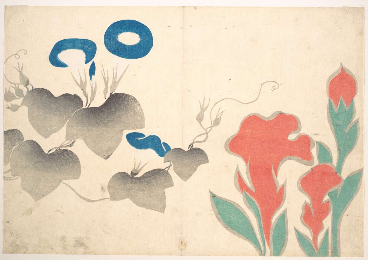 Entwurf von Prunkwinde und anderen Blumen von Ogata Korin