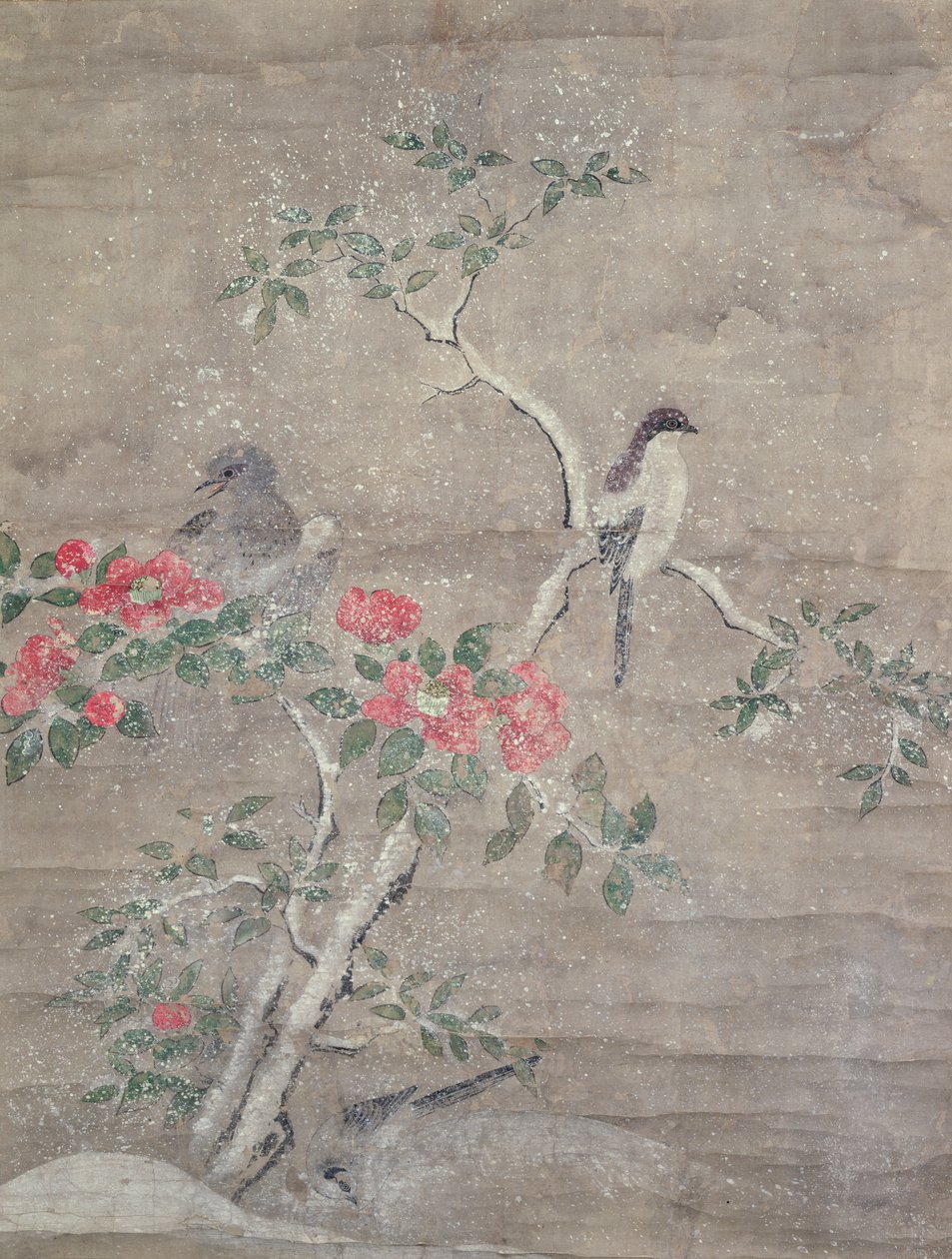 Vögel und Kamelie im Schnee, ca. 1700 von Ogawa Haritsu