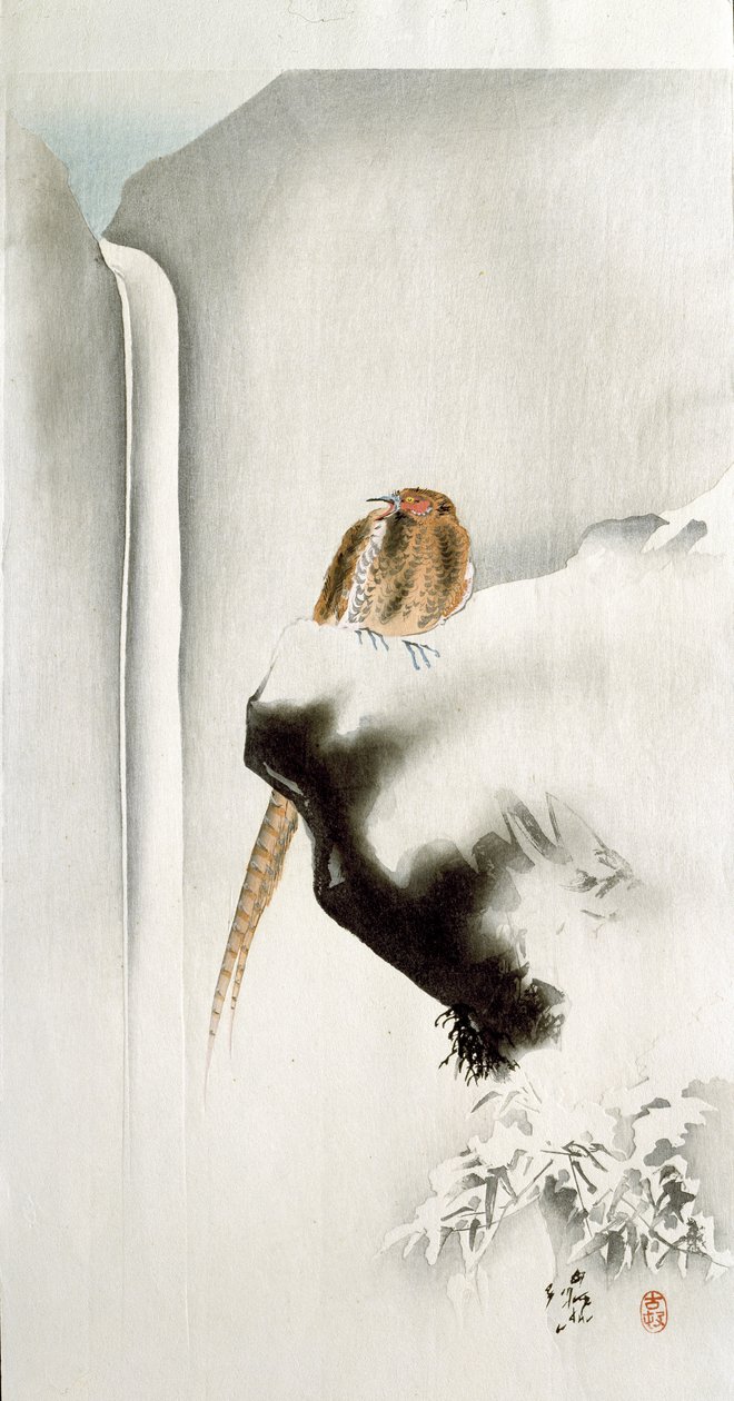 Ein Fasan auf einer Klippe, mit einem Wasserfall im Hintergrund, 1907 von Ohara Koson