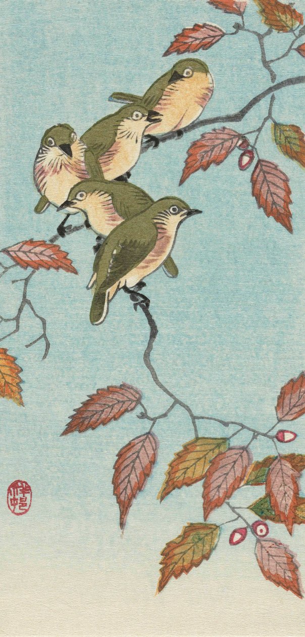 Fünf kleine Vögel auf einem Zweig, von dem japanischen Künstler Ohara Koson von Ohara Koson