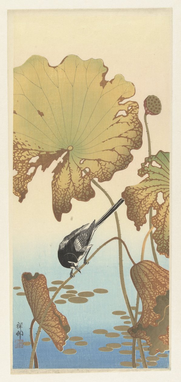 Japanische Bachstelze auf Lotuspflanze von Ohara Koson