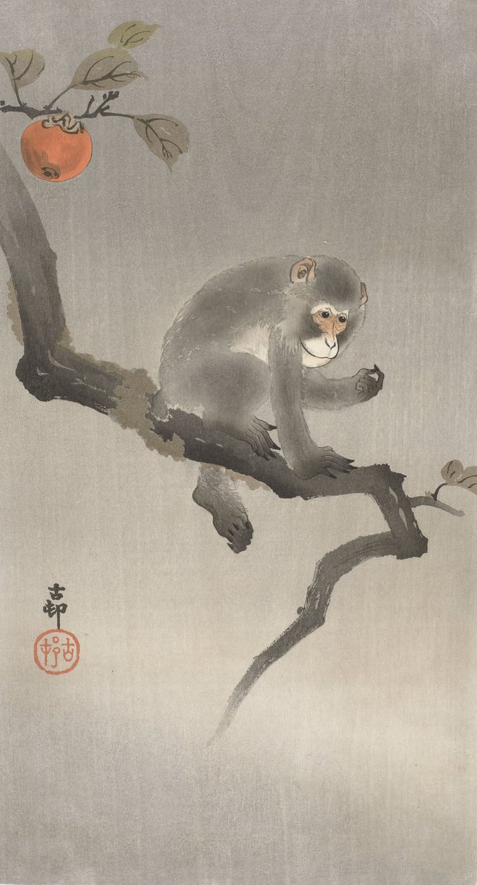 Affe in einem Obstbaum von Ohara Koson