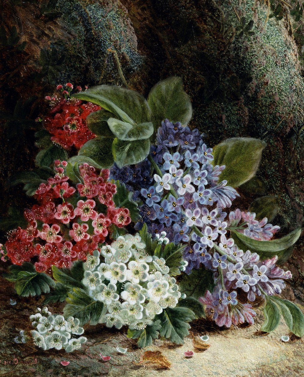 Flieder- und Weißdornblüten von Oliver Clare