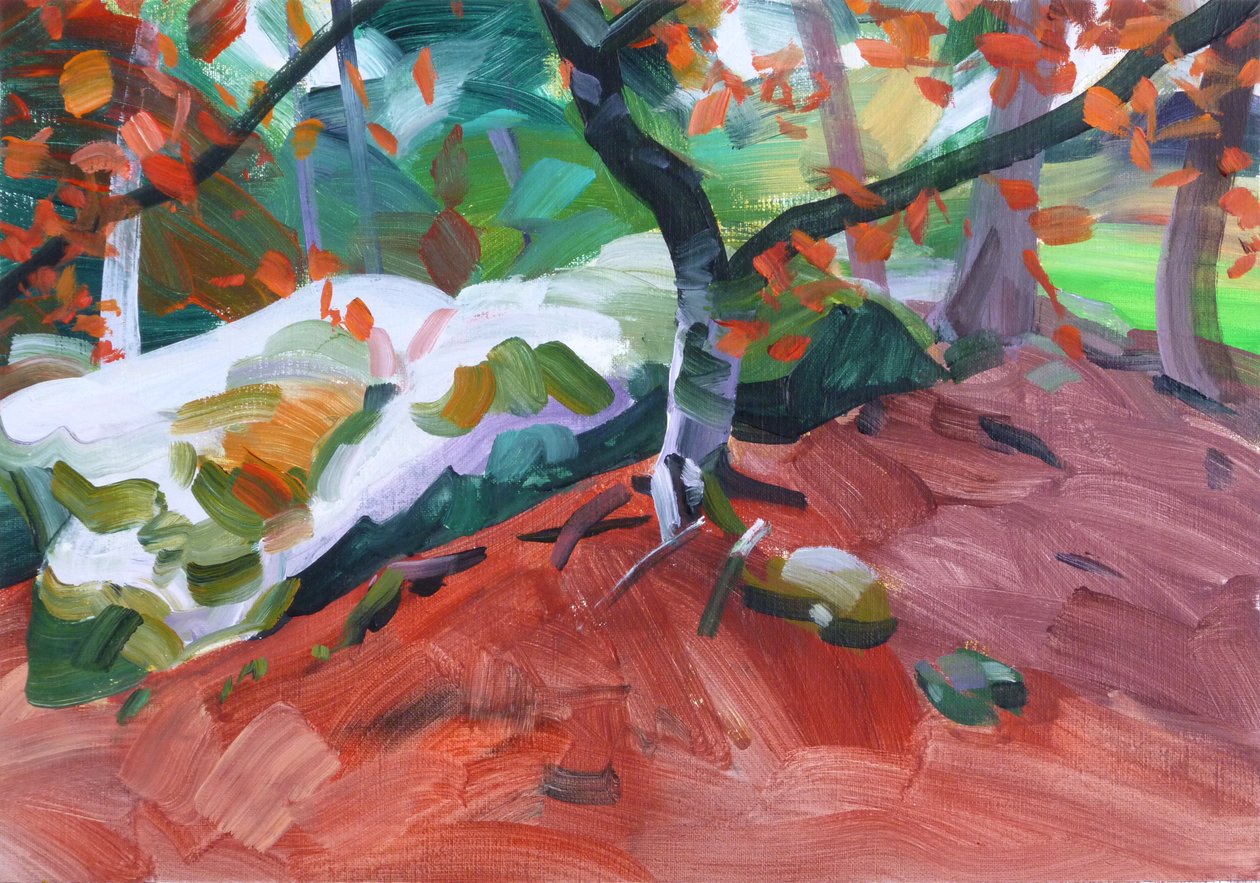 Wald 31 von Olivier Morel