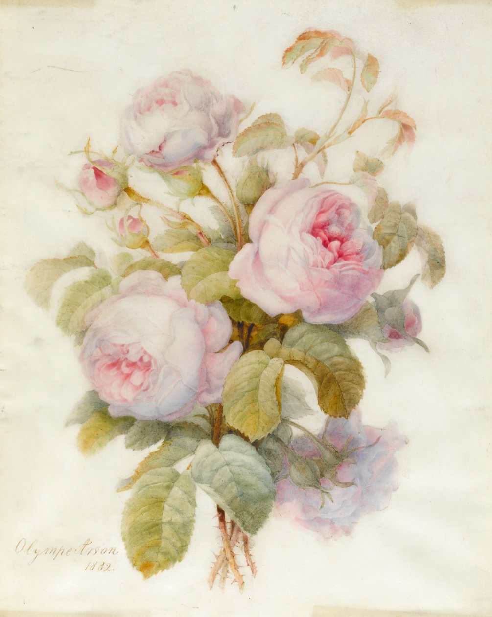 Strauß von Centifolio-Rosen, 1832 von Olympe Arson