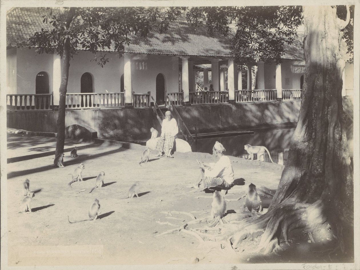 Indische Männer mit Äffchen auf einem Hof an einem Wasser, möglicherweise in Surabaya von Onnes Kurkdjian