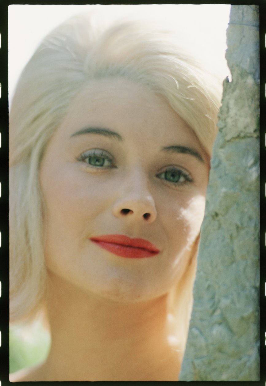 Hope Lange Nahaufnahme von Orlando Suero
