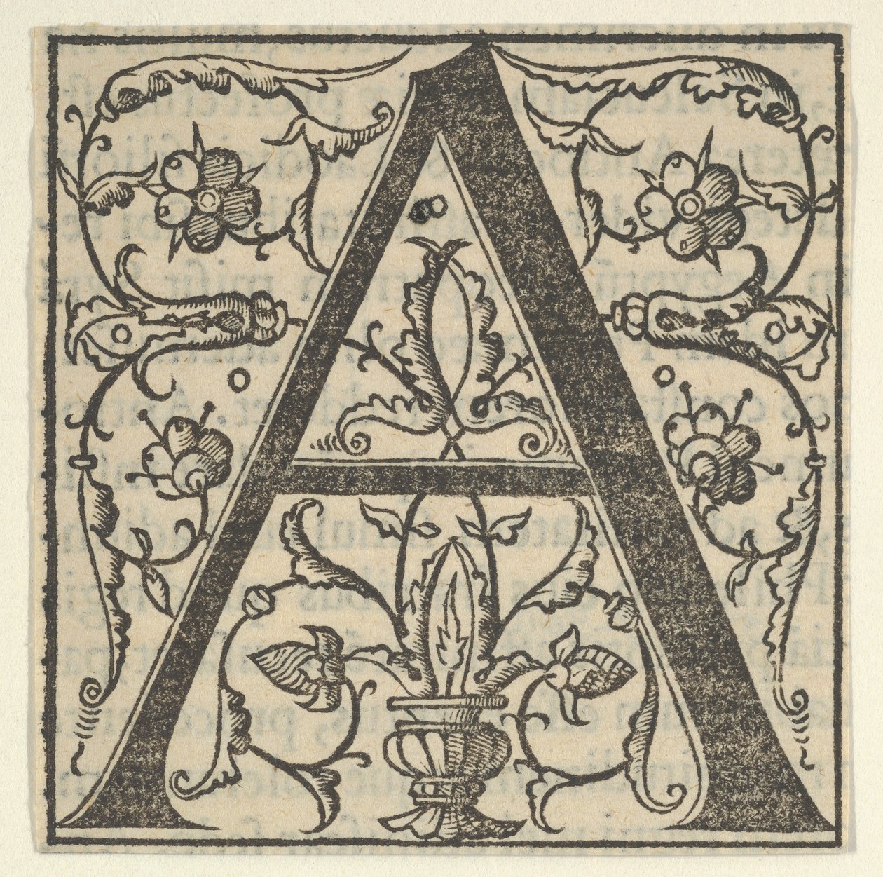 Initialbuchstabe A mit Girlanden von Oronce Fine