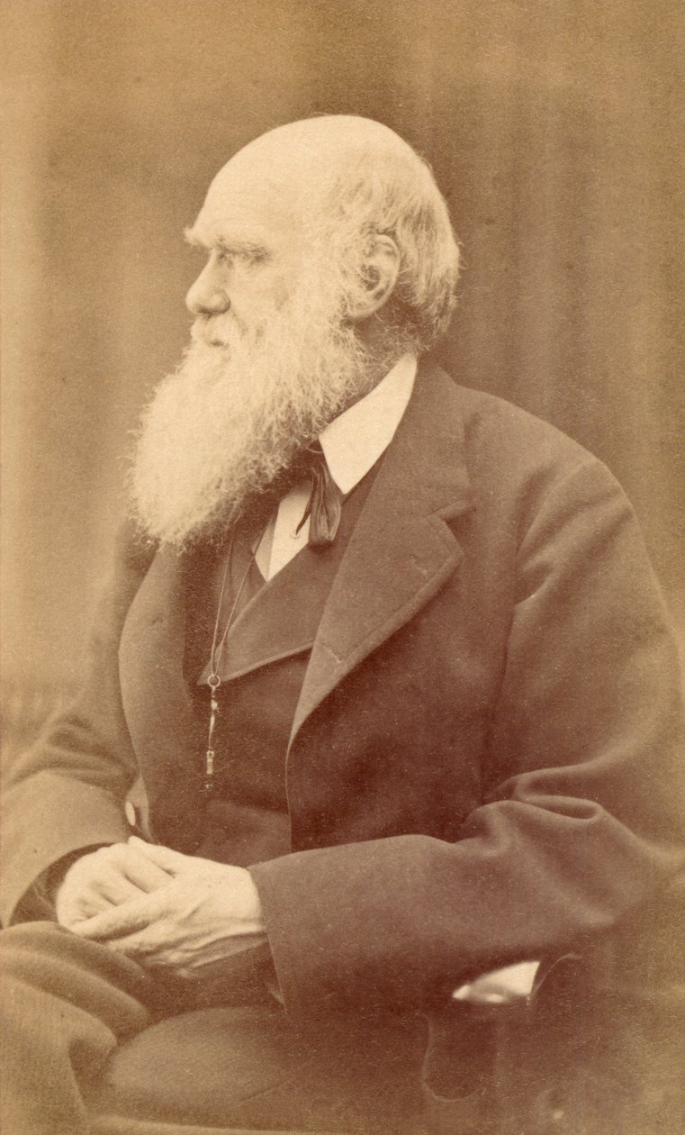 Porträt von Charles Darwin im Alter von 72 Jahren, ca. 1871 von Oscar Gustav Rejlander