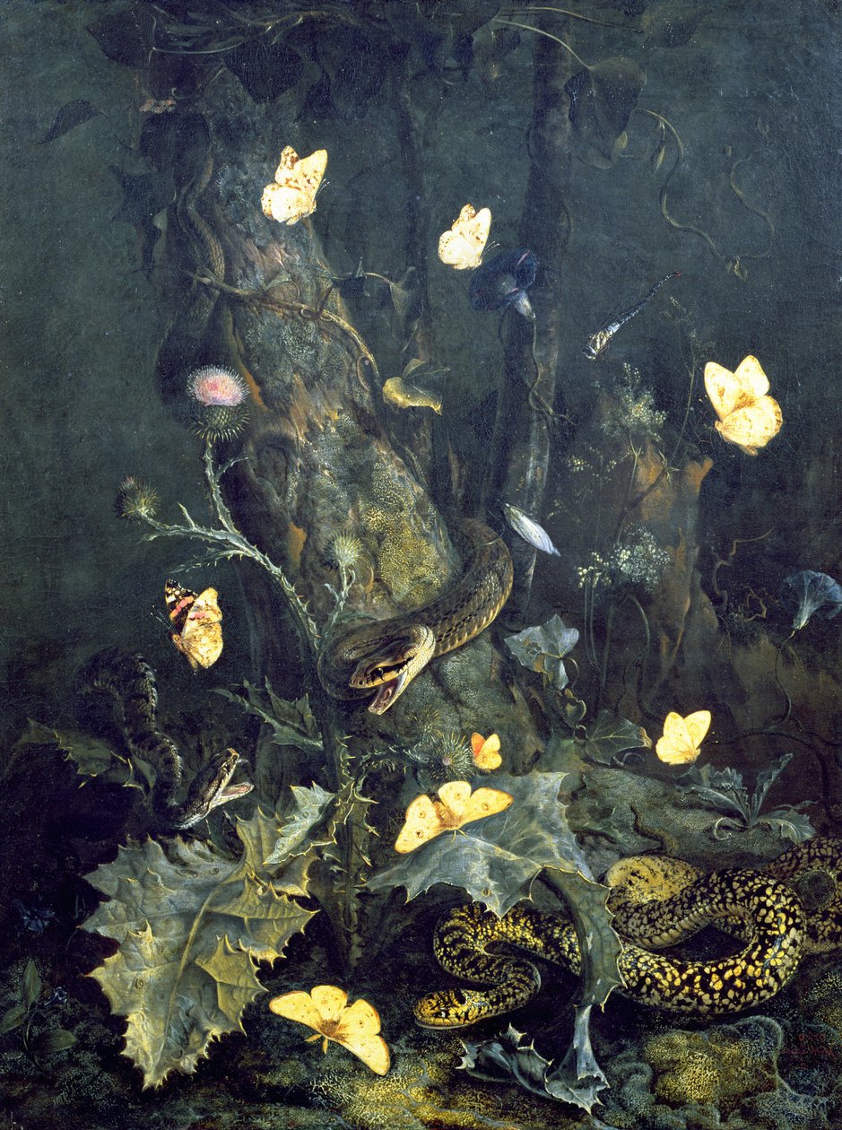 Schlangen und Schmetterlinge, 1670 von Otto Marseus  van Schrieck