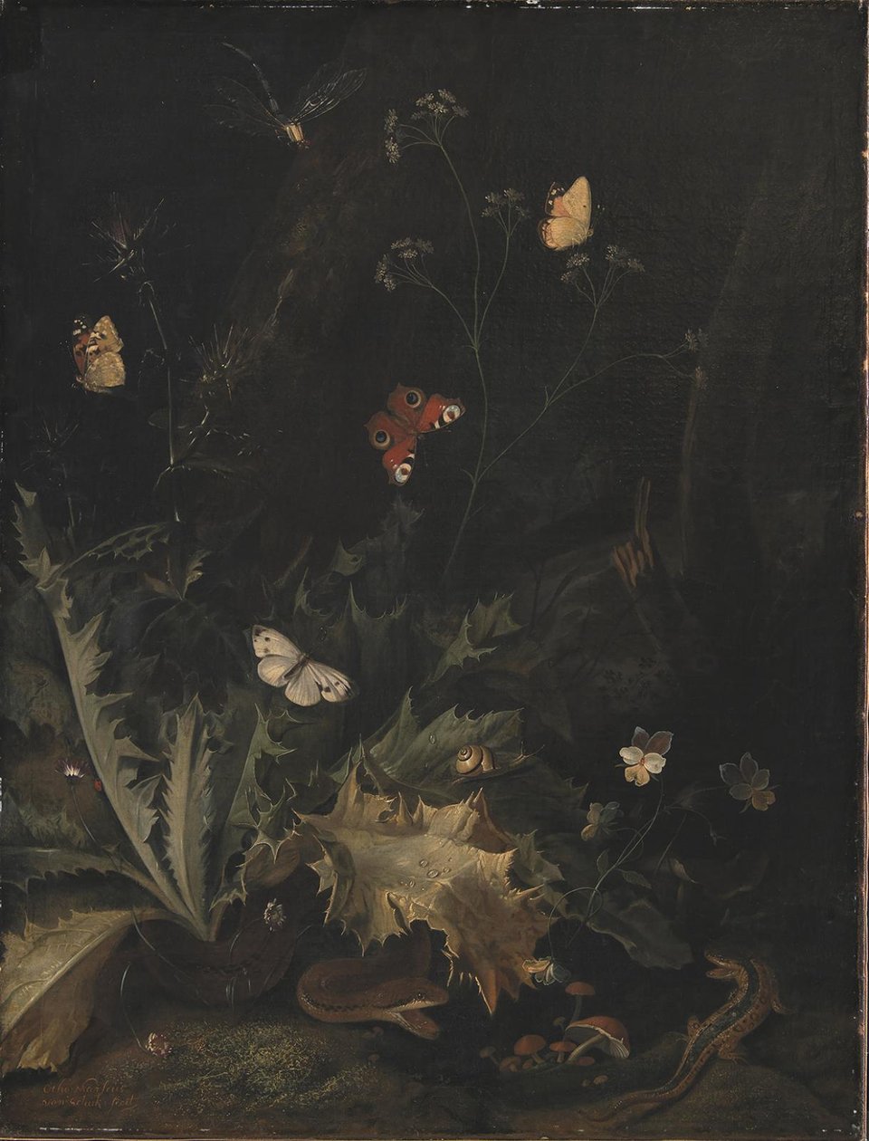 Ein Waldboden mit einer Distel, einer Schlange, einer Eidechse und Schmetterlingen von Otto Marseus  van Schrieck