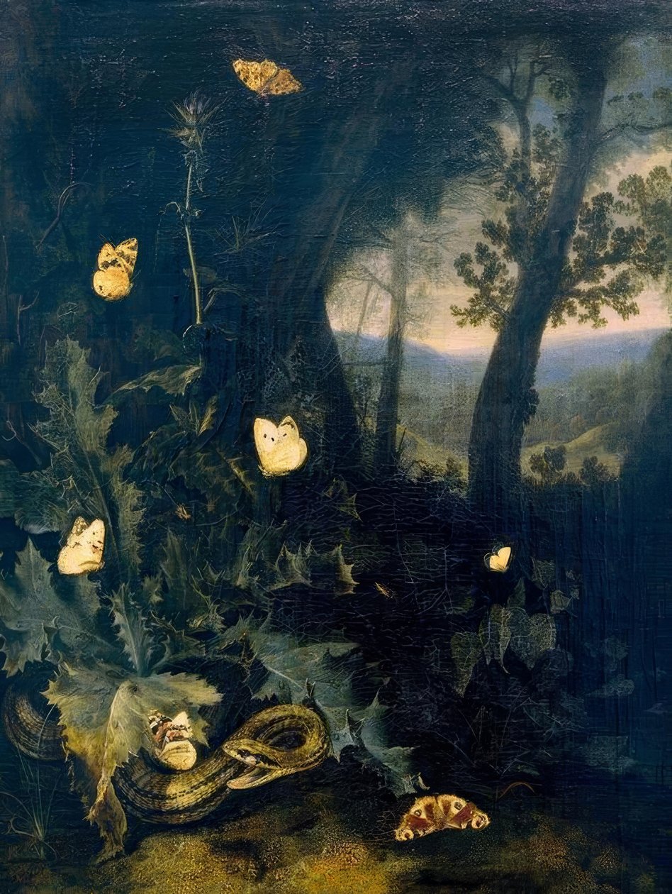 Waldboden mit Distel und Schlange von Otto Marseus  van Schrieck