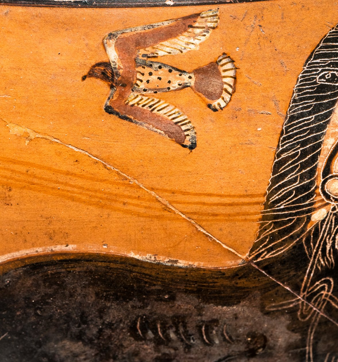 Hydrie Ricci: Detail: Vögel von Painter of the louvre E 739