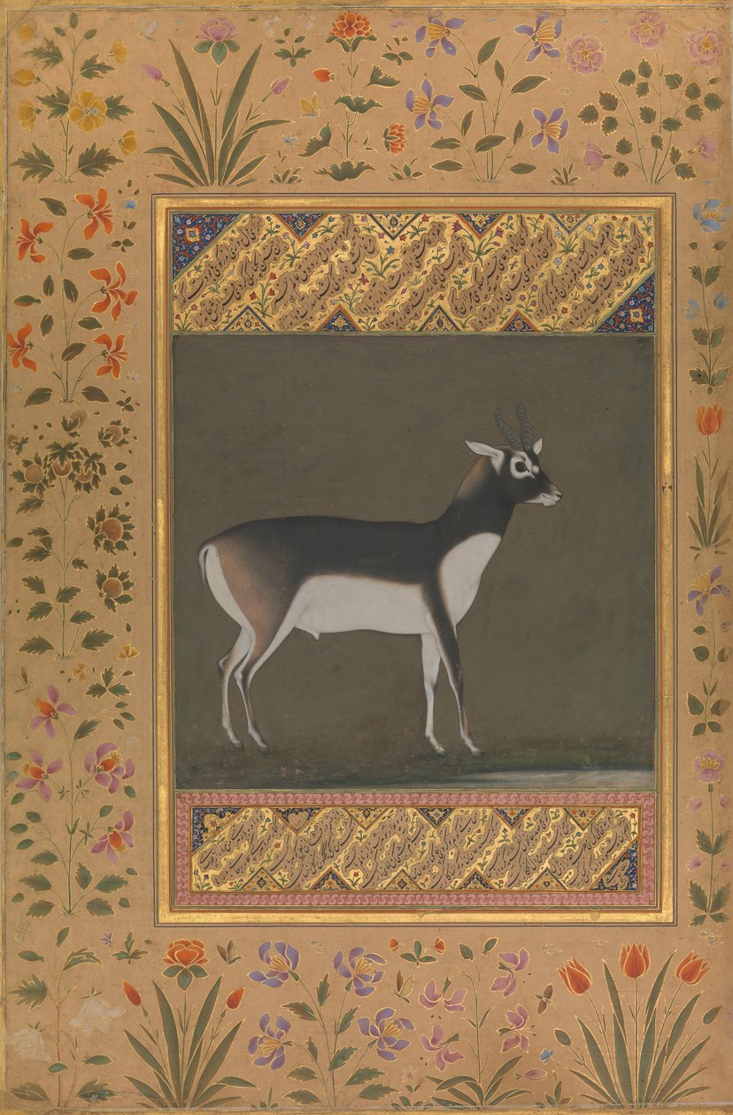 Schwarzer Bock, Folio aus dem Shah Jahan Album, recto: ca. 1615-20, verso: ca. 1530-50 von Painting attributed to Manohar