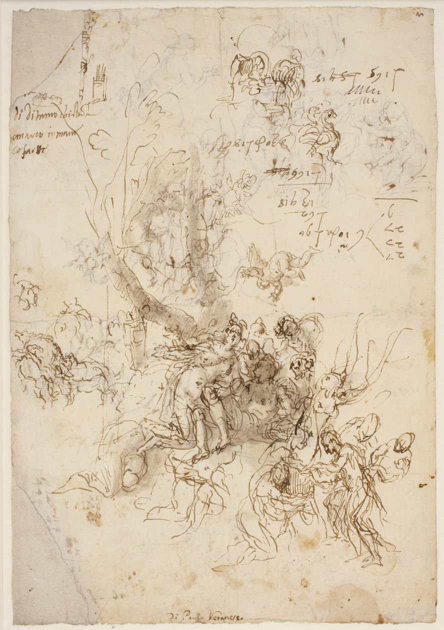 Skizzen für die Geburt und den Tod des Adonis von Paolo Veronese