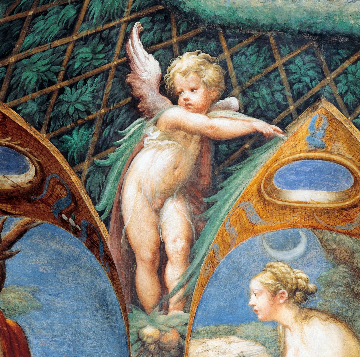 Cherub und Dianas Gesicht, aus dem Mythos von Diana und Actaeon von Parmigianino