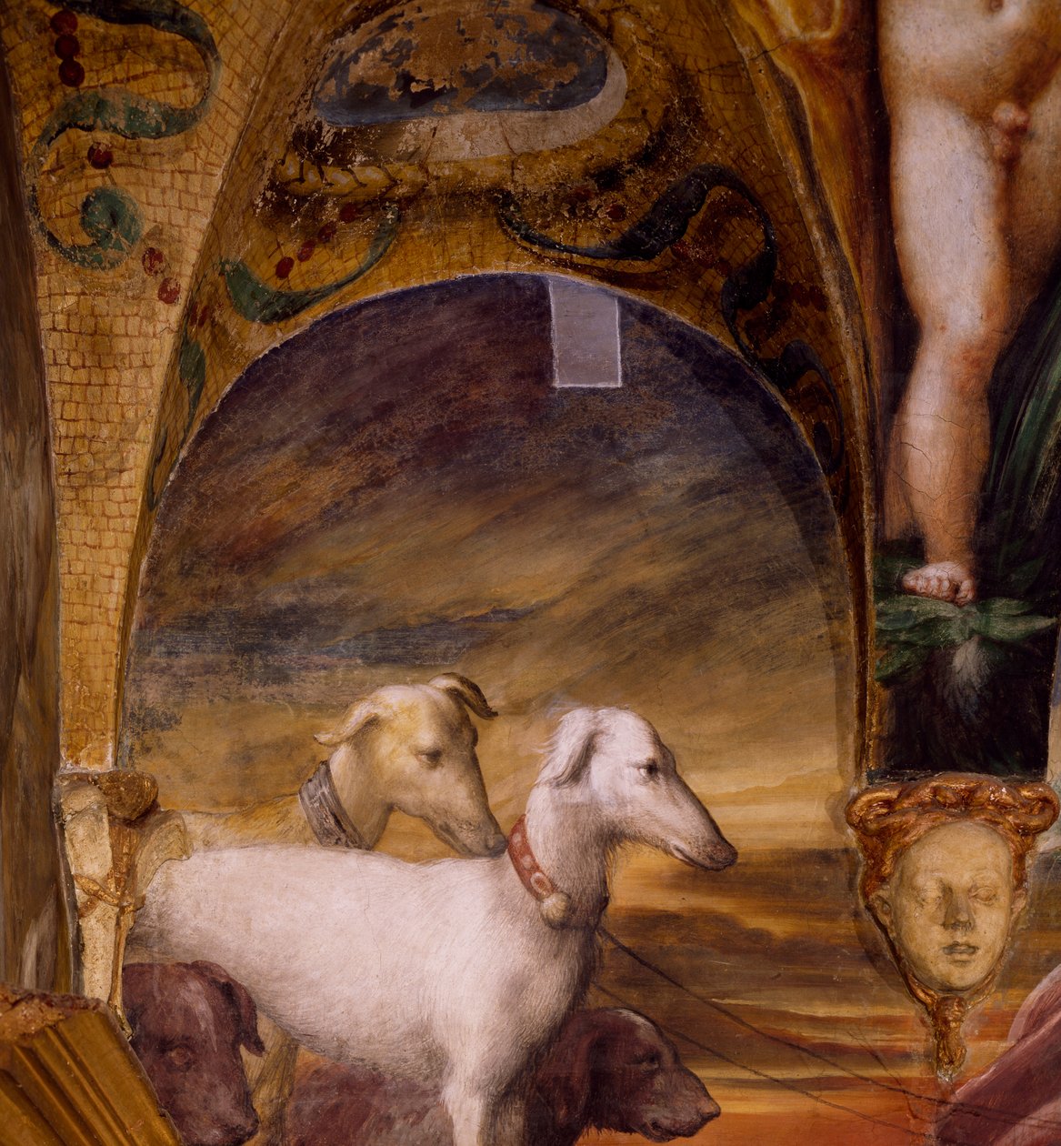 Gruppe von Hunden von Parmigianino