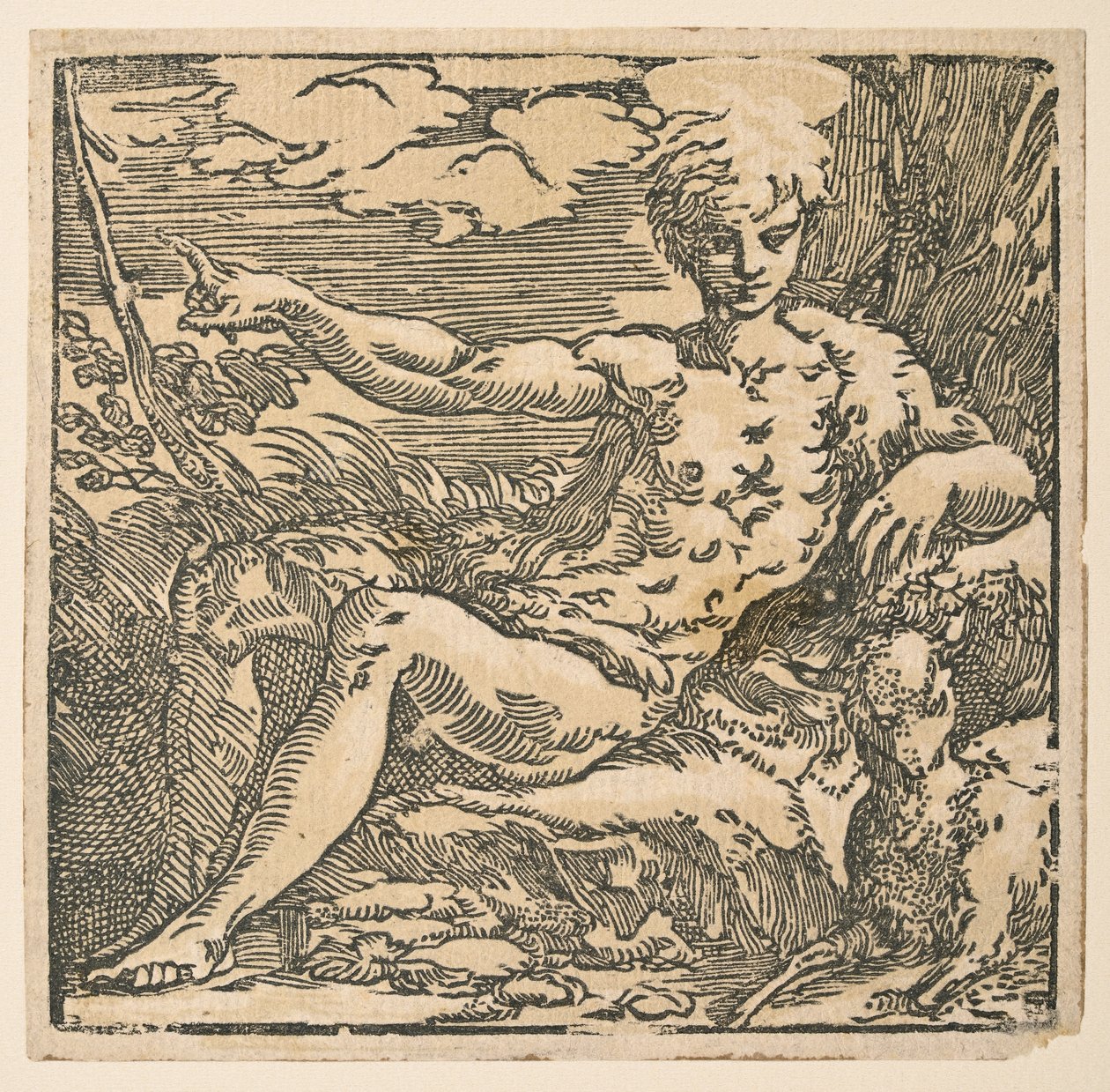 Johannes der Täufer in der Wildnis von Parmigianino
