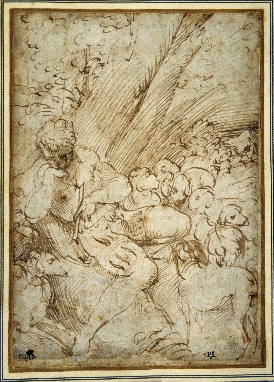 Hirtenjunge mit einer Pfeife, ruht unter einem Baum mit seinem Hund und ihrer Herde von Parmigianino