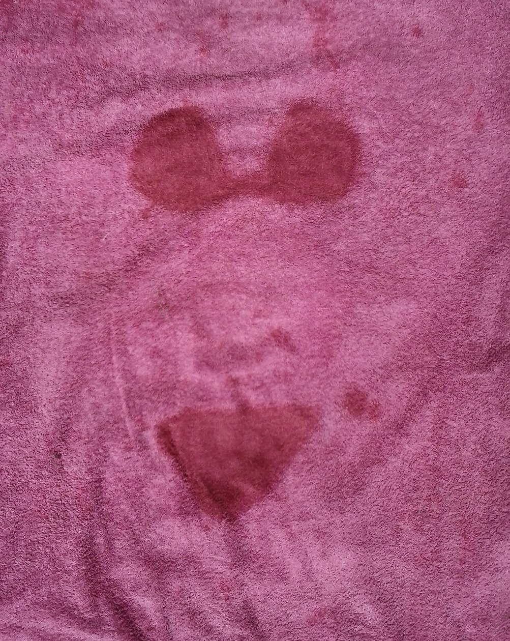 Meer von Patrizia La Porta