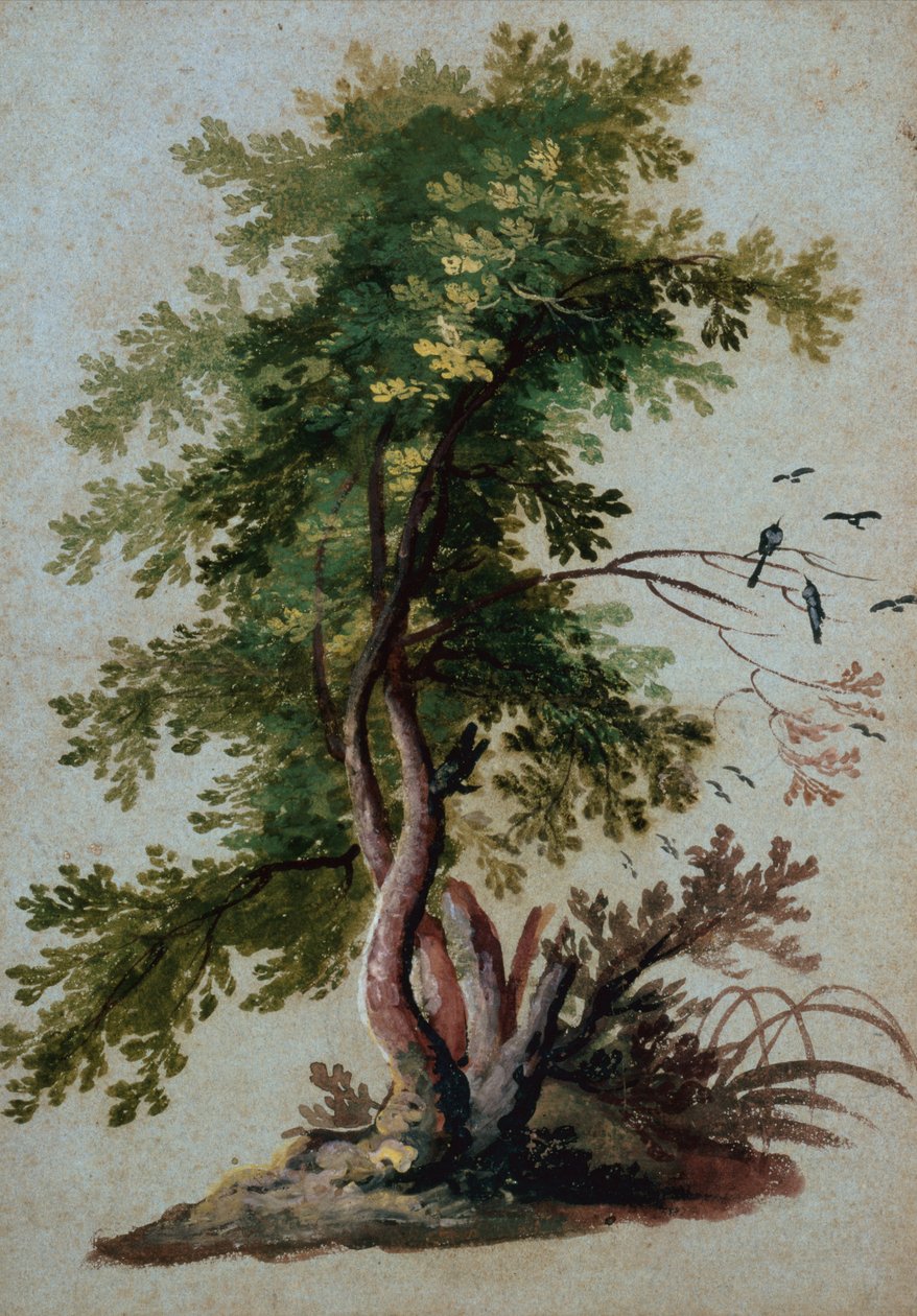 Ein Baum mit zwei Vögeln auf einem Ast von Paul Brill or Bril