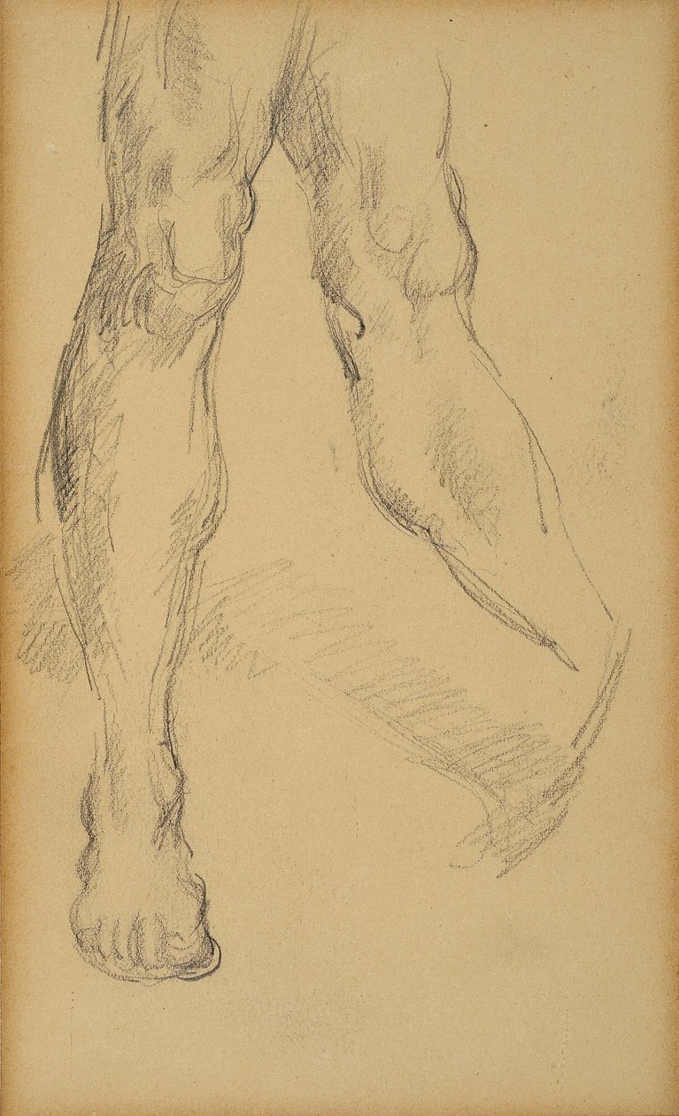 Beinstudie. Zeichnung von Paul Cézanne von Paul Cézanne