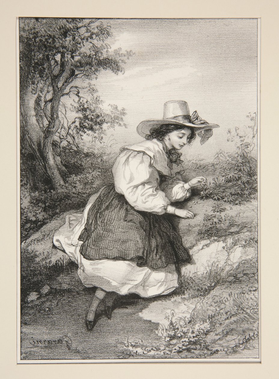 Die zwei Gänseblümchen von Paul Gavarni