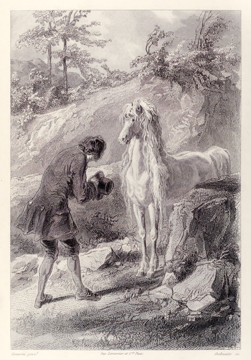 Das Pferd blieb stehen und starrte mich an, aus der französischen Ausgabe von Gullivers Reisen von Jonathan Swift von Paul Gavarni