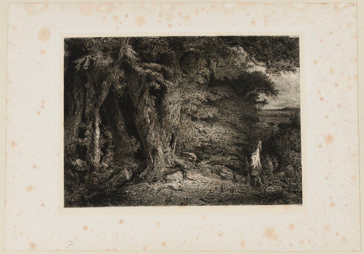 Der Waldeingang. Beraldi 74 von Paul Huet