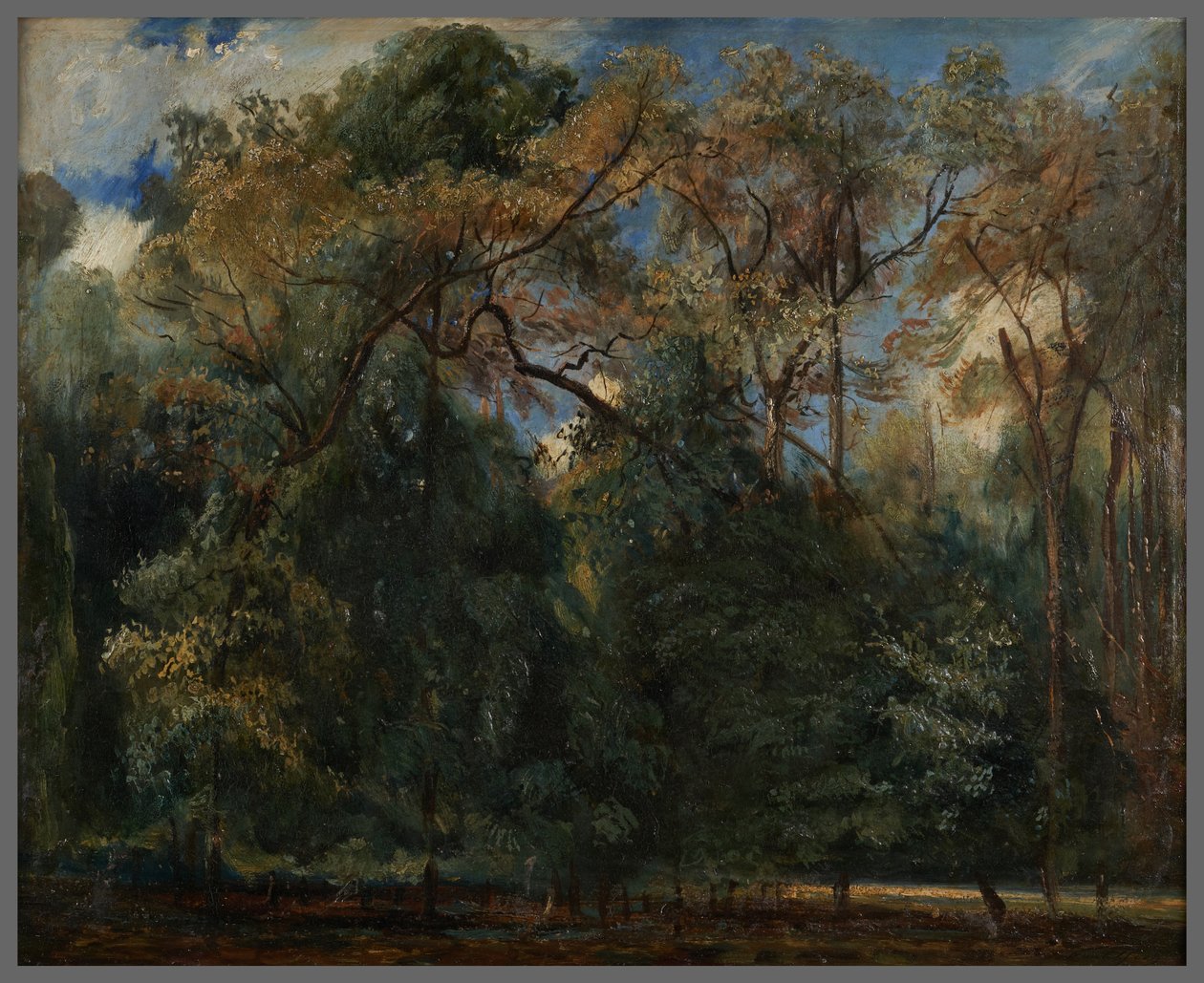 Die Ulmen von Saint-Cloud von Paul Huet