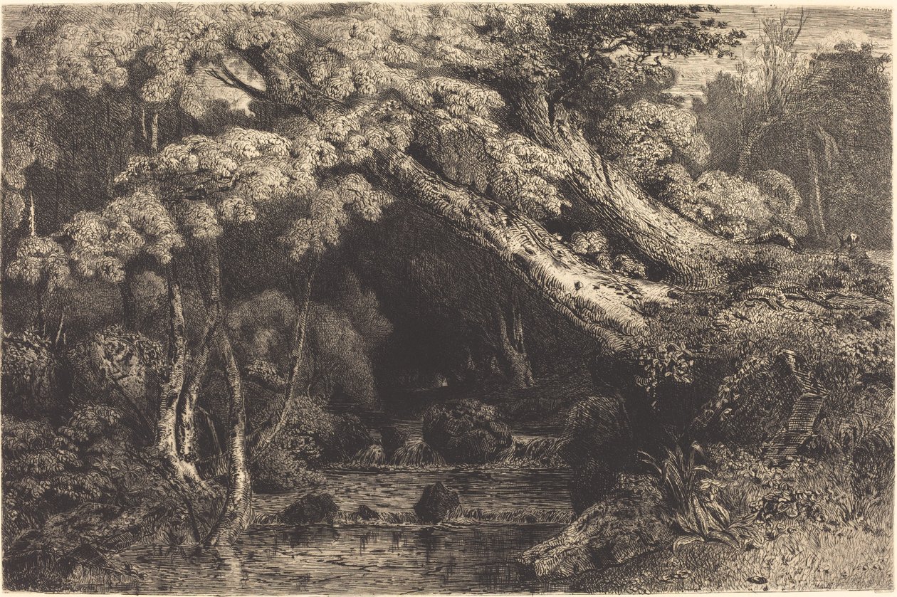 Saint-Pierre-Bach bei Pierrefond (Ruisseau de Saint-Pierre, près Pierrefond) von Paul Huet