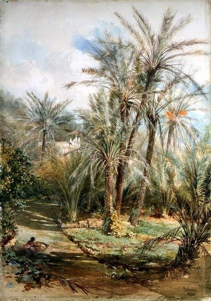Der Palmengarten, Bordighera von Paul Jacob Naftel