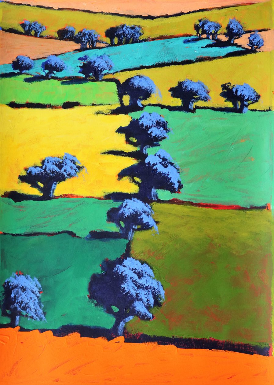 Schwarzer Mohr von Paul Powis