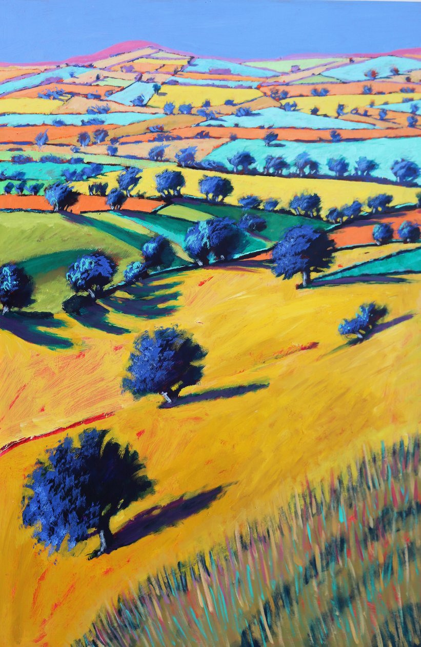 Cotswold-Tal, 2021 von Paul Powis