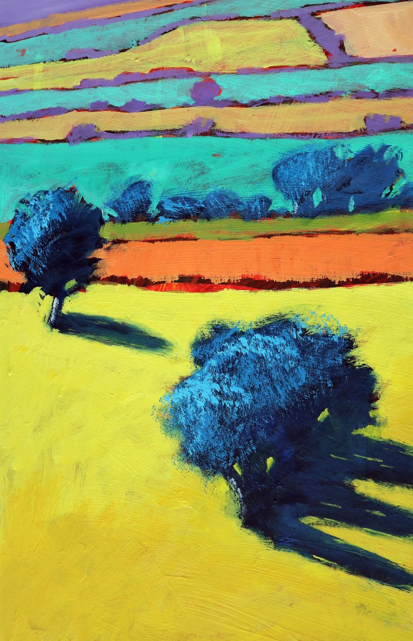 Cotswold Way Nahaufnahme 1 von Paul Powis