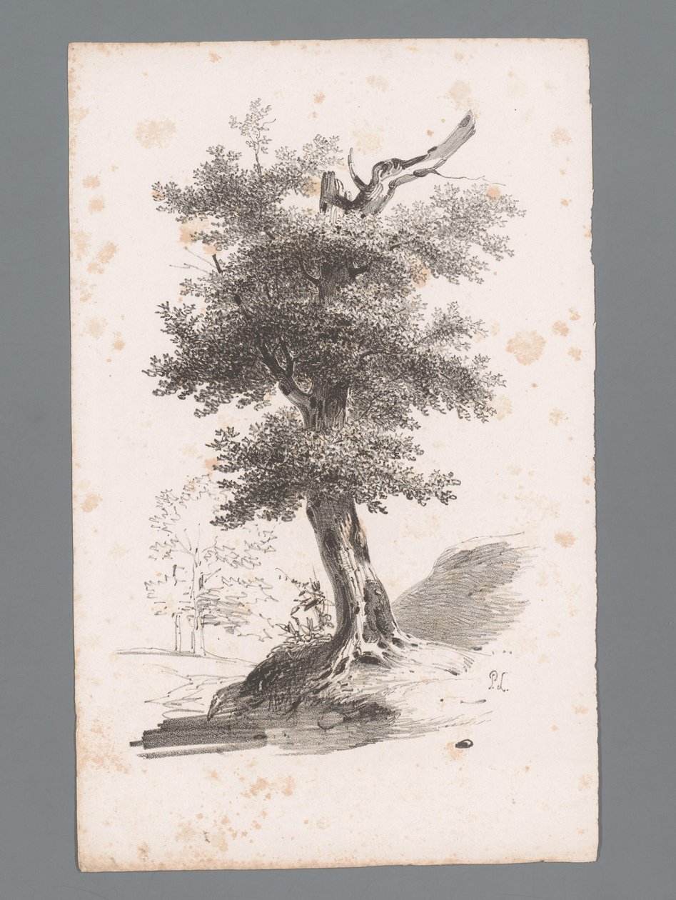 Landschaft mit Baum von Paulus Lauters