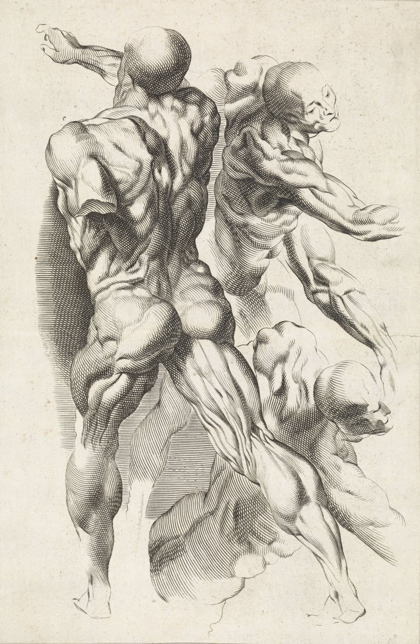 Anatomische Studie von drei Figuren mit ausgestreckten Armen (Das Zeichenbuch von Peter Paul Rubens) von Paulus Pontius