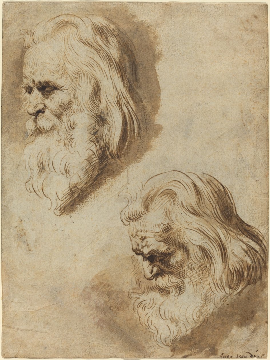 Zwei Studien eines alten Männerkopfes von Paulus Pontius after Sir Peter Paul Rubens