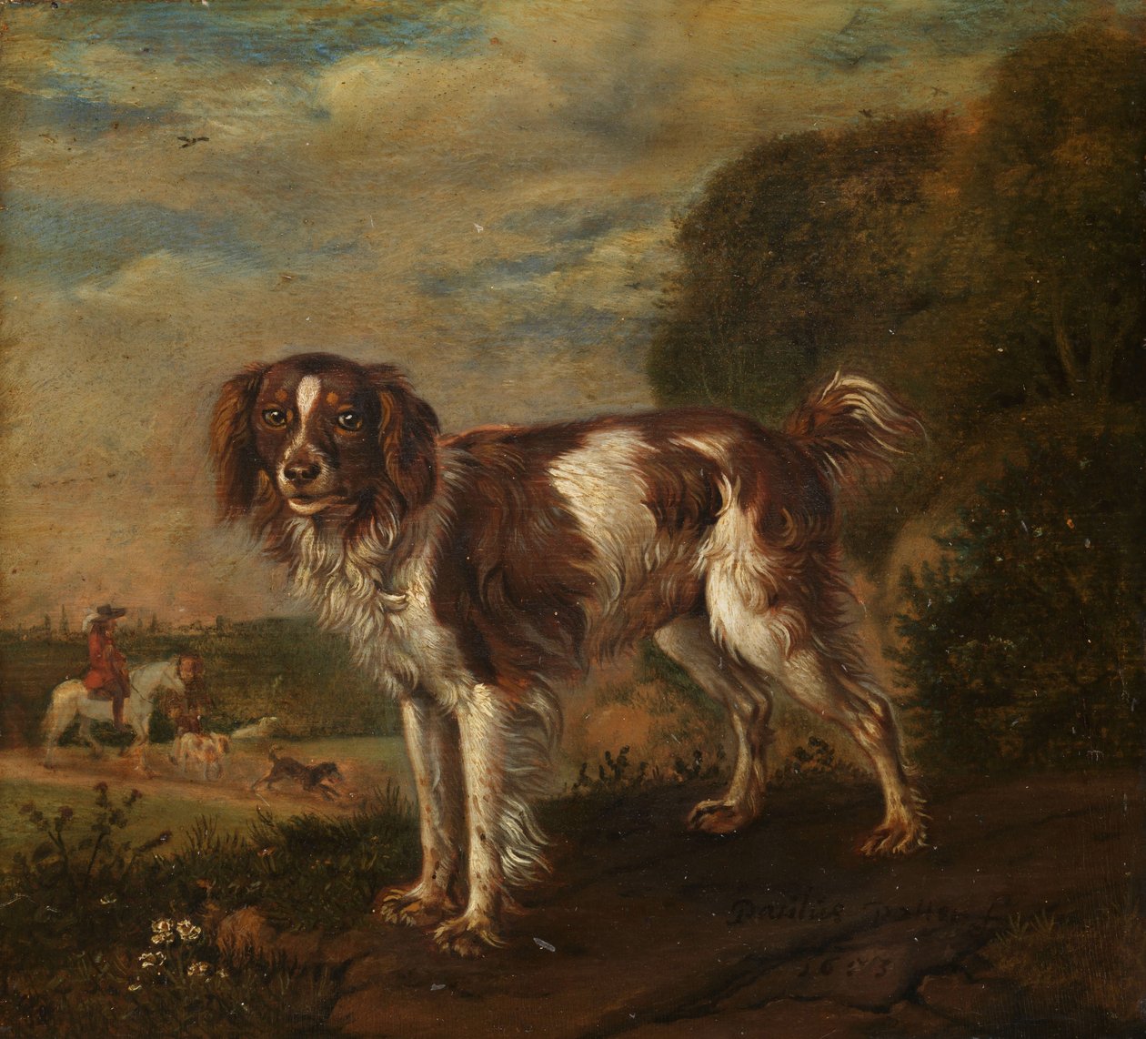 Ein Spaniel von Paulus Potter