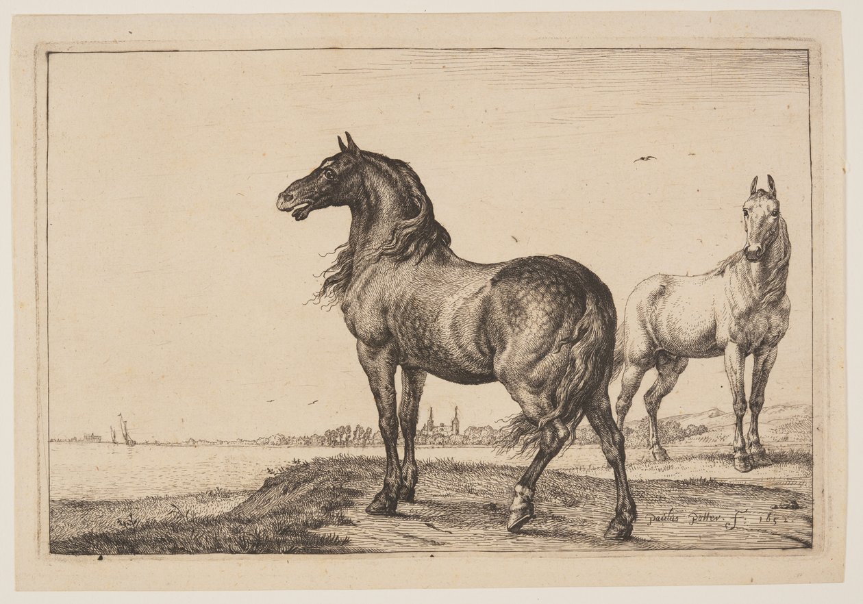 Das gestutzte Pferd, aus der Serie von Pferden von Paulus Potter