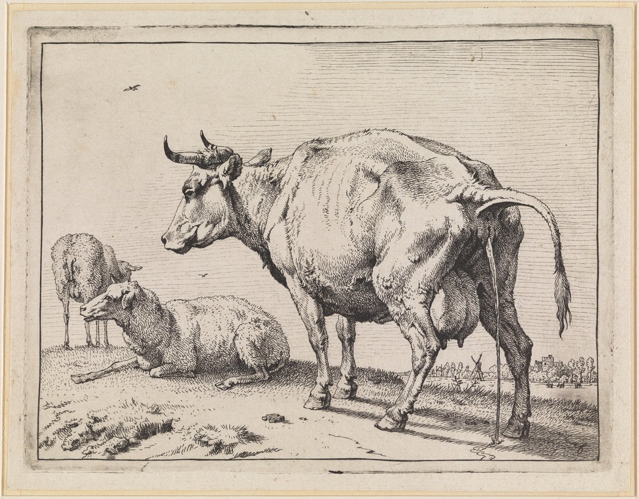 Urinierende Kuh von Paulus Potter