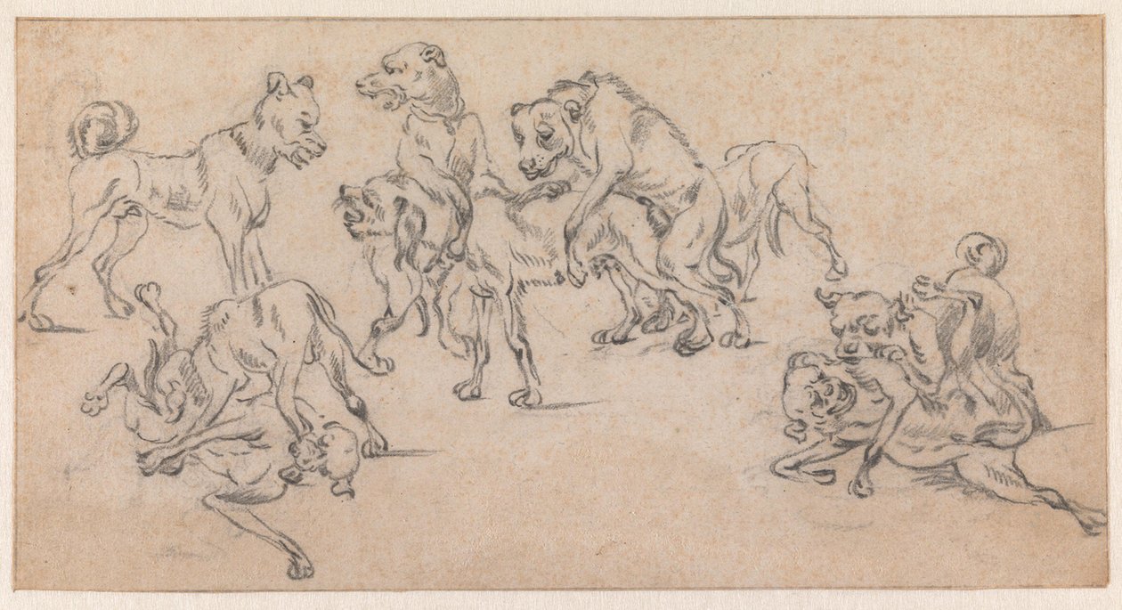 Kämpfende und paarende Hunde von Paulus Potter